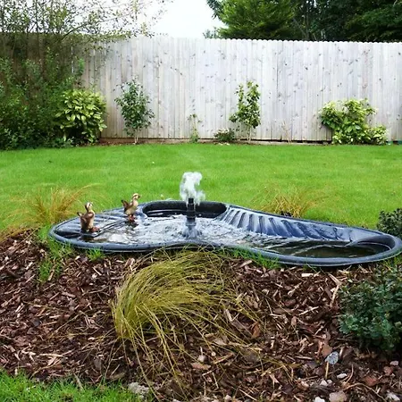 Bed & Breakfast Woodview House Cork