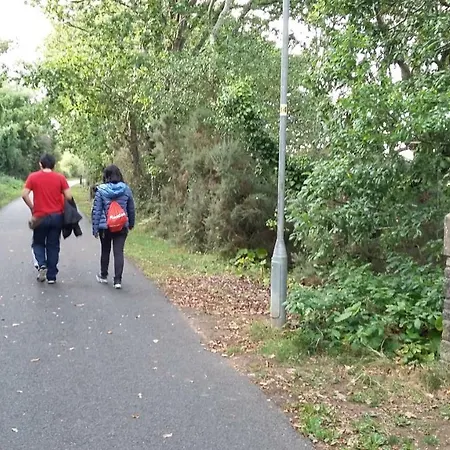 Woodview House Bed & Breakfast Cork