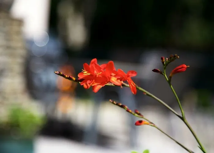 Woodview House Bed & Breakfast 4*